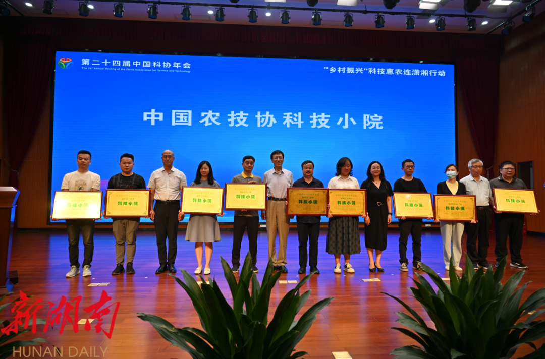 中国农技协野茶科技小院落户新宁_邵阳头条网